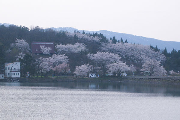 桜ヶ池写真